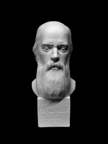 Гипс Бюст Салтыкова-Щедрина