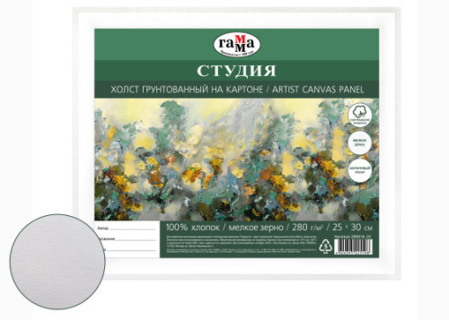 Холст грунтованный на картоне Гамма "Студия" 25х30 см