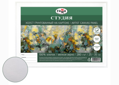 Холст грунтованный на картоне Гамма "Студия" 25х35 см