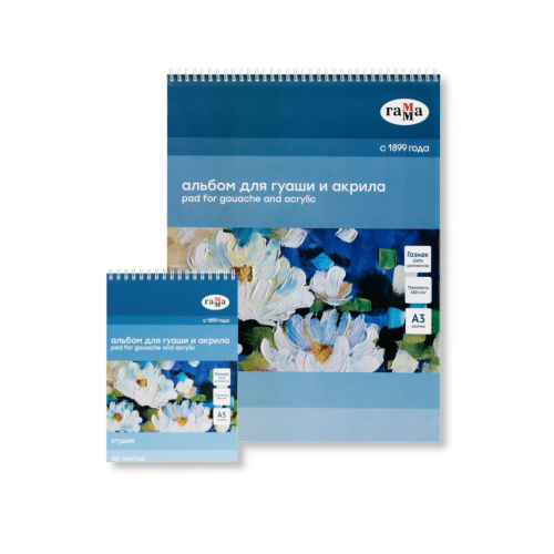 Альбом для гуаши и акрила на спирали Гамма "Студия" 180 г