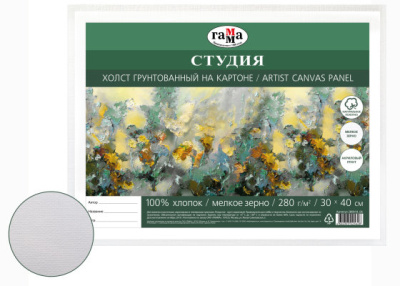Холст грунтованный на картоне Гамма "Студия" 30х40 см