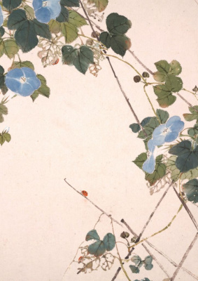 Тетрадь Насекомые и цветы "Вьюнок"