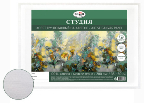 Холст грунтованный на картоне Гамма "Студия" 35х50 см