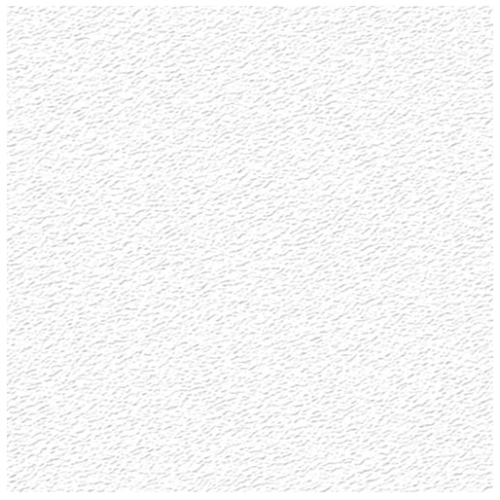 Бумага карточная тисненая Лилия Холдинг "Скорлупа" 62х94 см 200 г