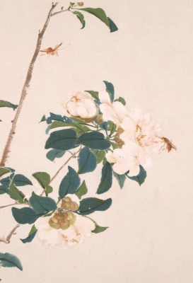 Блокнот Насекомые и цветы "Пчёлки"