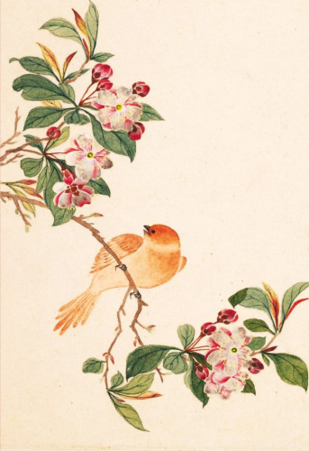 Блокнот Птицы, насекомые и цветы "Яблоня"