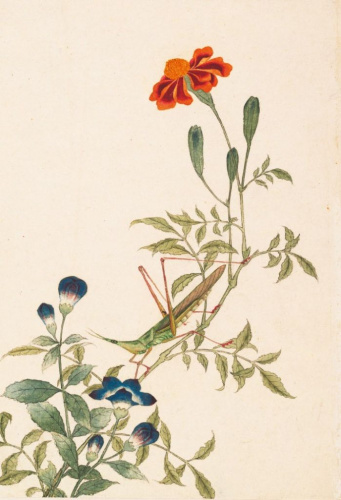 Блокнот Птицы, насекомые и цветы "Кузнечик"