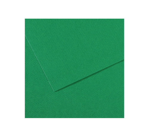 Бумага для пастели Canson "MI-TEINTES" 75x110 см 160 г №575 темно-зеленый