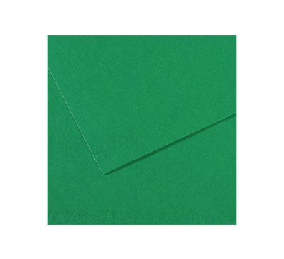 Бумага для пастели Canson "MI-TEINTES" 75x110 см 160 г №575 темно-зеленый