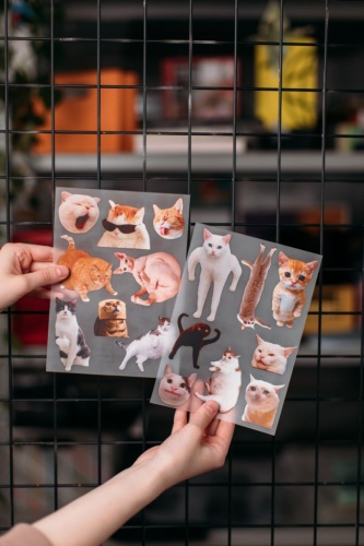 Термопринты Пак коты