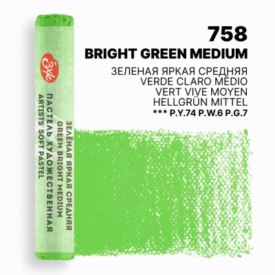 Мастер-Класс художественная пастель Зеленая яркая средняя
