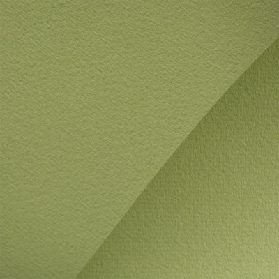 Бумага для пастели "Мастер-Класс" А3 160 г, 40% хлопок, фисташковый