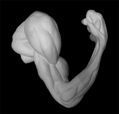 Гипс Рука анатомическая, согнутая в локте