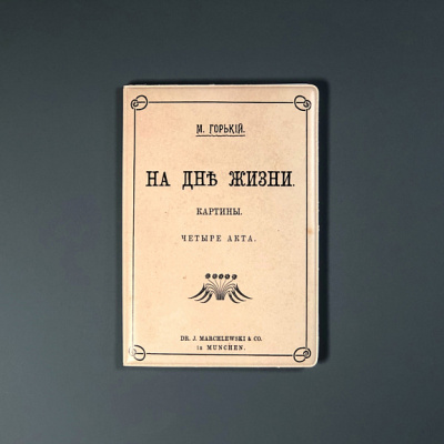 Обложка для паспорта "На дне"