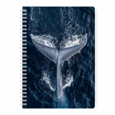 Планер день Remarklee "Кит" MyPPlanner А5