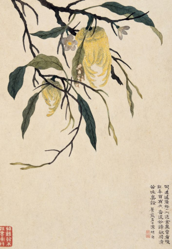 Блокнот "Желтые плоды Рука Будды"