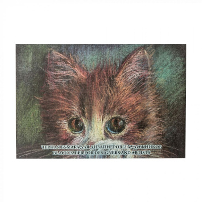 Набор бумаги тонированной Лилия Холдинг А3 10 л 200 г "Black"