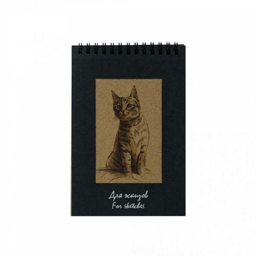 Блокнот для эскизов Лилия Холдинг "Котенок" Крафт А5 50 л