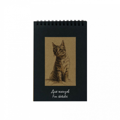 Блокнот для эскизов Лилия Холдинг "Котенок" Крафт А5 50 л