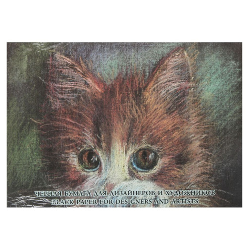 Набор бумаги тонированной Лилия Холдинг А4 10 л 200 г "Black"