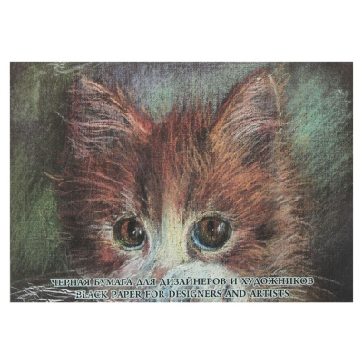 Набор бумаги тонированной Лилия Холдинг А4 10 л 200 г "Black"