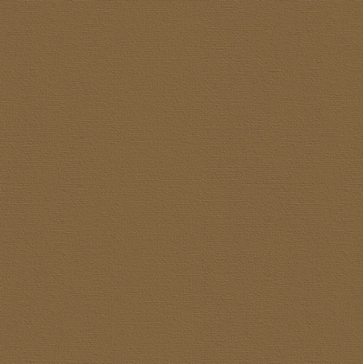 Бумага для пастели "Палаццо" 70x100 см 160 г корица