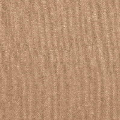 Бумага для пастели "Палаццо" 70x100 см 160 г бежевый