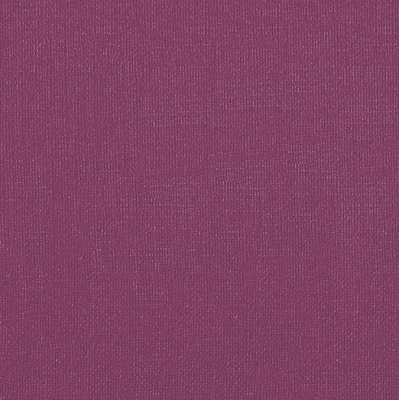 Бумага для пастели "Палаццо" 70x100 см 160 г ежевичный