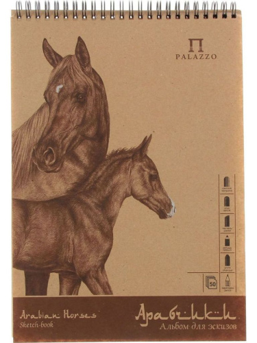 Альбом для эскизов на картоне Лилия Холдинг "Арабчики" А5 50 л