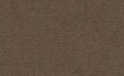 Бумага для пастели "Палаццо" 35x50 см 160 г корица