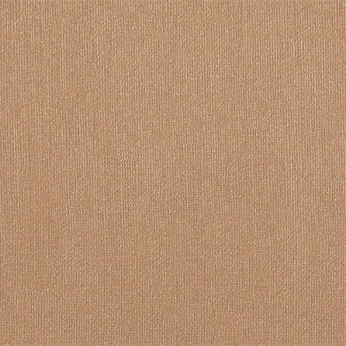 Бумага для пастели "Палаццо" 50x70 см 160 г цвет бежевый