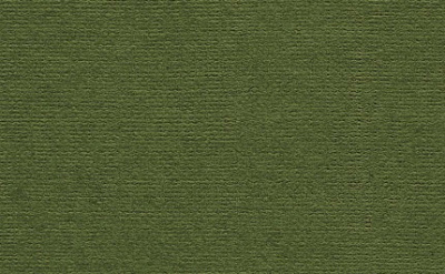 Бумага для пастели "Палаццо" 21x29,7 см 160 г темные джунгли