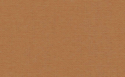 Бумага для пастели "Палаццо" 21x29,7 см 160 г латте