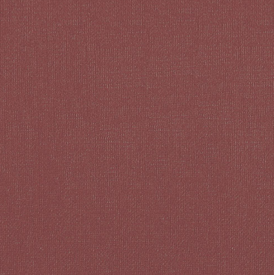 Бумага для пастели "Палаццо" 70x100 см 160 г божоле