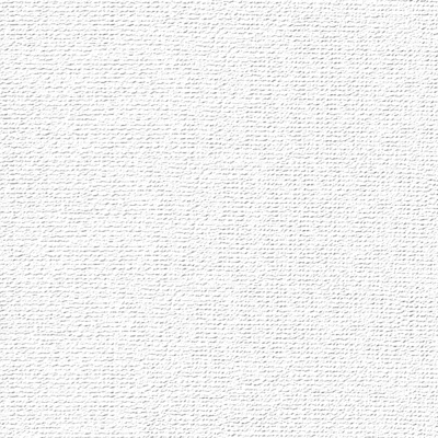 Бумага для пастели "Палаццо" 21x29,7 см 160 г белоснежный