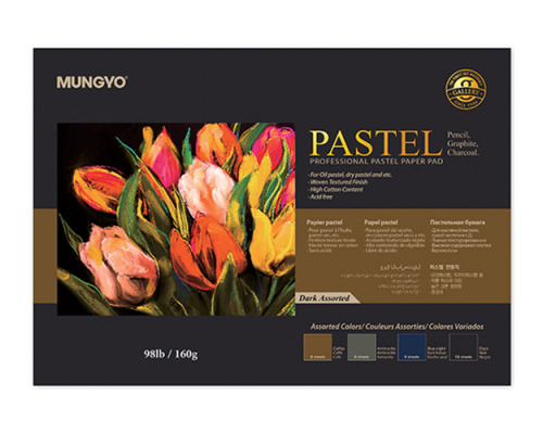 Альбом-склейка для пастели MUNGYO "Pastel" А3 20 л 160 г (3 цв х 4 листа + черная 8 листов)