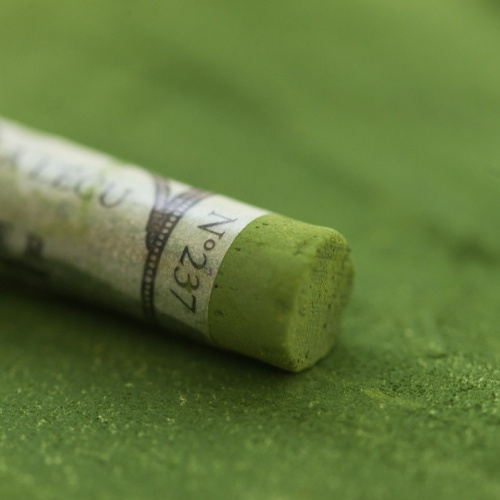 Пастель сухая Sennelier "A' L'ECU" оливковый средний