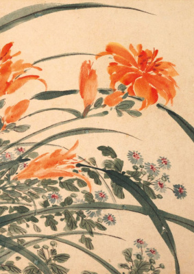 Тетрадь Садовые цветы "Лилейник"