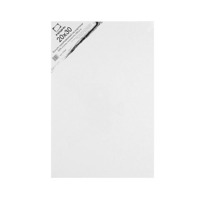 Холст грунтованный на картоне Малевичъ 20x30 см