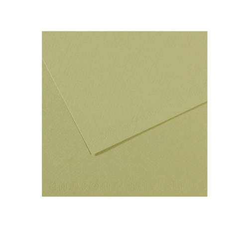 Бумага для пастели Canson "MI-TEINTES" 50x65 см 160 г №480 светло-зеленый
