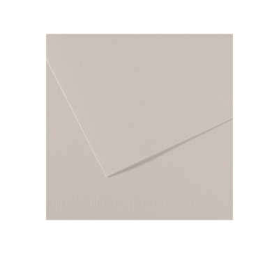 Бумага для пастели Canson "MI-TEINTES" 21x29,7 см 160 г №120 жемчужно-серый