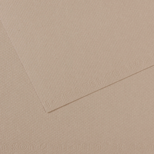 Бумага для пастели Canson "MI-TEINTES" 21x29,7 см 160 г №122 серый фланель