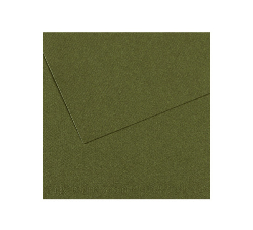 Бумага для пастели Canson "MI-TEINTES" 21x29,7 см 160 г №448 плющ