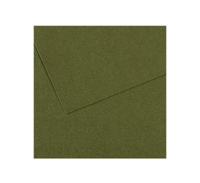 Бумага для пастели Canson "MI-TEINTES" 21x29,7 см 160 г №448 плющ