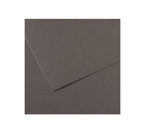 Бумага для пастели Canson "MI-TEINTES" 21x29,7 см 160 г №345 шифер
