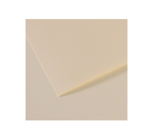 Бумага для пастели Canson "MI-TEINTES" 50x65 см 160 г №110 лилия