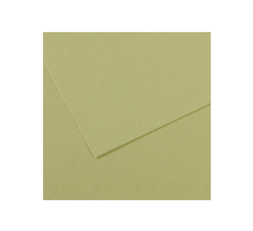 Бумага для пастели Canson "MI-TEINTES" 21x29,7 см 160 г №480 светло-зеленый