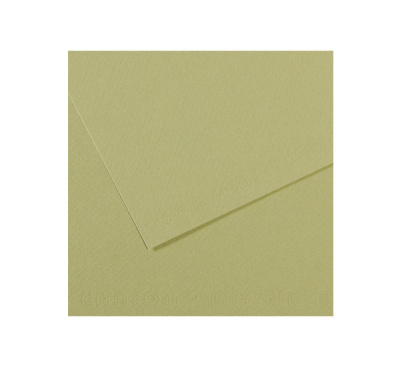 Бумага для пастели Canson "MI-TEINTES" 21x29,7 см 160 г №480 светло-зеленый