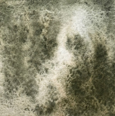 Акварель "Handy" кювета 2 мл, Хлорит темно-зеленый