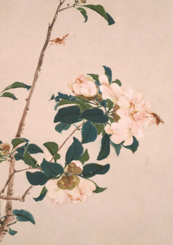 Тетрадь Насекомые и цветы "Пчёлки"